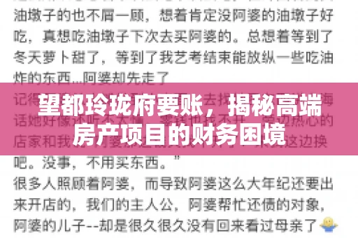 望都玲珑府要账，揭秘高端房产项目的财务困境