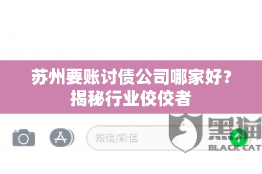 苏州要账讨债公司哪家好？揭秘行业佼佼者