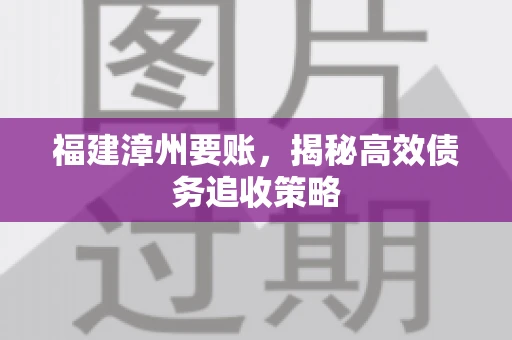 福建漳州要账，揭秘高效债务追收策略