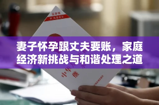 妻子怀孕跟丈夫要账，家庭经济新挑战与和谐处理之道