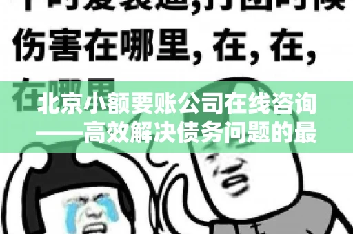 北京小额要账公司在线咨询——高效解决债务问题的最佳途径 北京小额要账公司在线咨询——高效解决债务问题的最佳途径