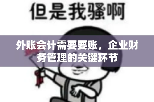 外账会计需要要账,企业财务管理的关键环节 外账会计需要要账,企业财务管理的关键环节
