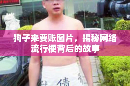 狗子来要账图片，揭秘网络流行梗背后的故事