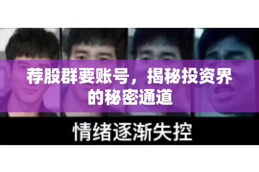 荐股群要账号，揭秘投资界的秘密通道