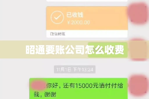 昭通要账公司怎么收费