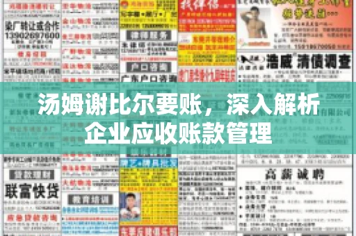 汤姆谢比尔要账，深入解析企业应收账款管理