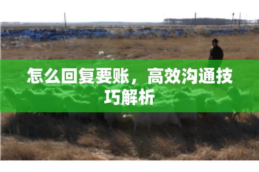 怎么回复要账，高效沟通技巧解析