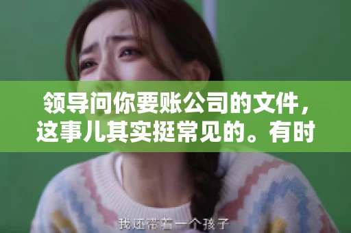 领导问你要账公司的文件，这事儿其实挺常见的。有时候，你可能一头雾水，不知道从何下手。今天，我就来和大家聊聊这个话题，希望能帮到大家。