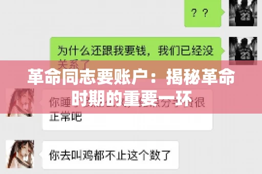 革命同志要账户：揭秘革命时期的重要一环