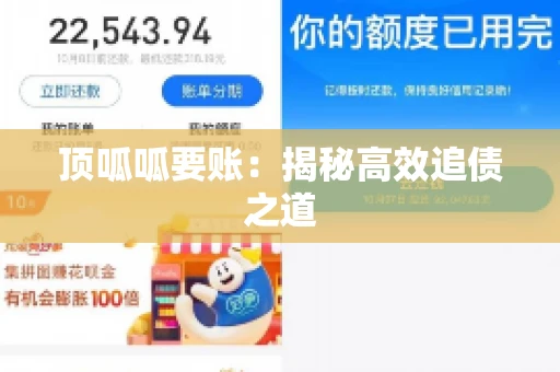 顶呱呱要账：揭秘高效追债之道