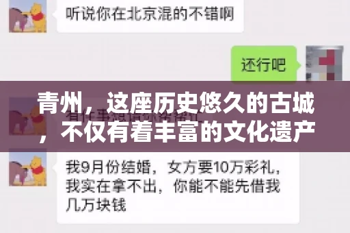 青州，这座历史悠久的古城，不仅有着丰富的文化遗产，也是商业活动频繁的地方。对于许多企业来说，应收账款的管理是日常运营中不可或缺的一环。那么，青州那里有要账的公司呢？今天，我们就来聊聊这个话题。