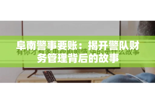 阜南警事要账：揭开警队财务管理背后的故事