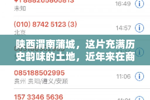 陕西渭南蒲城，这片充满历史韵味的土地，近年来在商业活动中也展现出了其独特的活力。其中，关于“陕西渭南蒲城要账”的话题，成为了不少企业关注的焦点。今天，我们就来聊聊这个话题，看看在蒲城，要账的那些事儿。