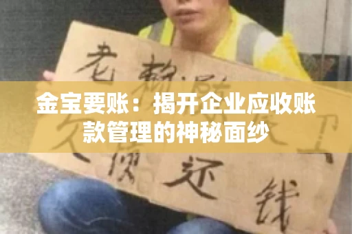 金宝要账:揭开企业应收账款管理的神秘面纱 金宝要账:揭开企业应收账款管理的神秘面纱