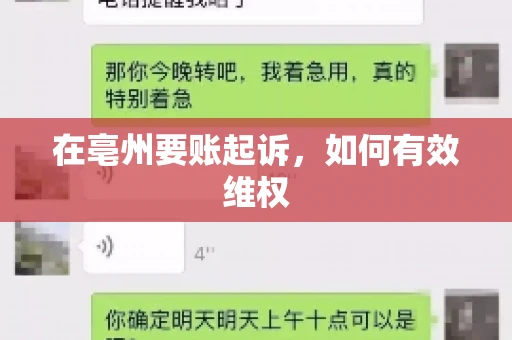 在亳州要账起诉，如何有效维权