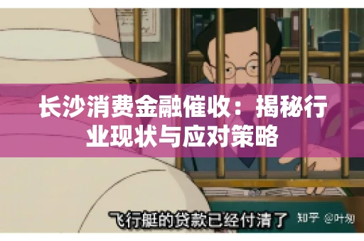 长沙消费金融催收：揭秘行业现状与应对策略