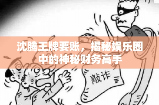 沈腾王牌要账，揭秘娱乐圈中的神秘财务高手