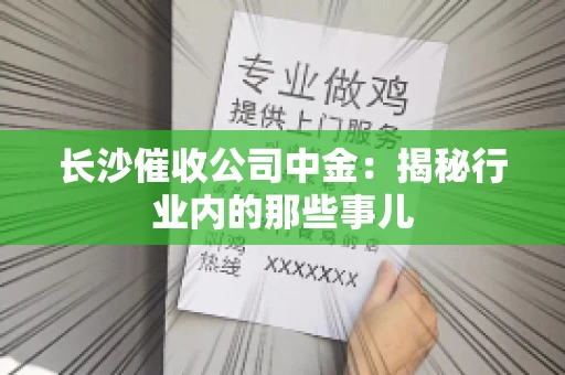 长沙催收公司中金：揭秘行业内的那些事儿